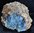 Bois fossile en azurite & malachite
