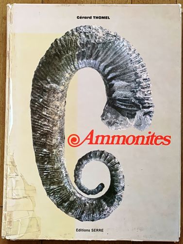 Ammonites (Gérard Thomel)