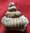 18 Ammonites déroulées du Barrémien et Hauterivien