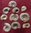 10 small ammonites from Bajocian of Ste-Honorine-des Pertes (Calvados)
