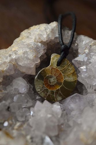 Collier ammonite
