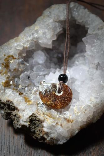 Collier ammonite