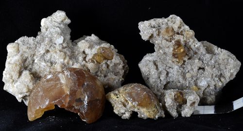 Turritelles & gastéropodes en calcite (Seine-et-Marne)