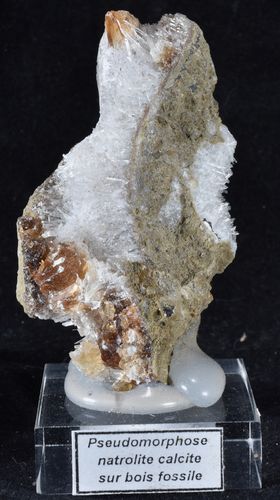 Pseudomorphose natrolite & calcite sur bois fossile