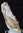 Pseudomorphosis natrolite & calcite on fossil wood