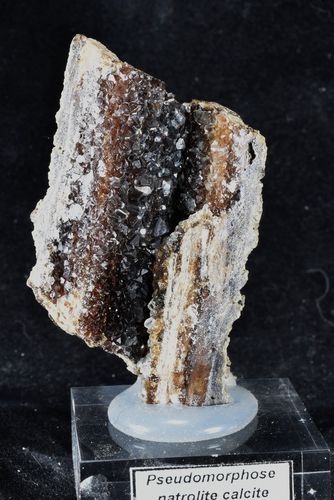 Pseudomorphosis calcite on fossil wood