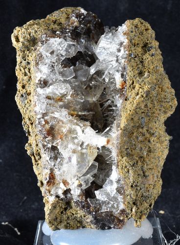 Pseudomorphose natrolite & calcite sur bois fossile