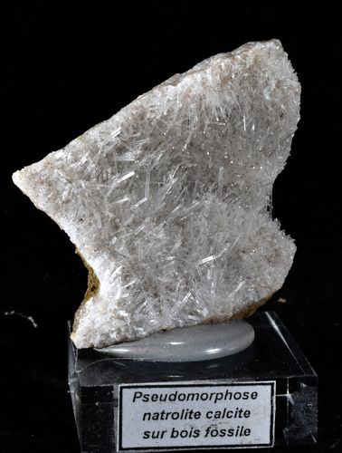 Pseudomorphose natrolite sur bois fossile