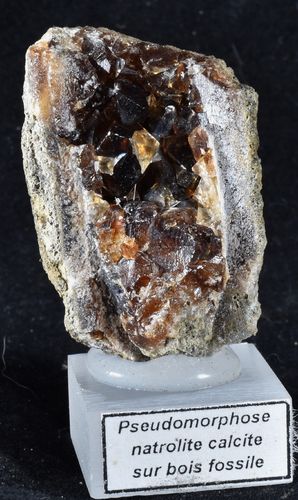 Pseudomorphose calcite sur bois fossile