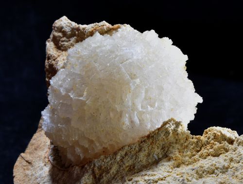Nucleolites sp pseudomorphosed in calcite